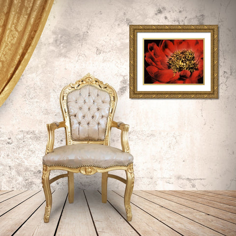 Red Peony I Gold Ornate Wood Framed Art Print with Double Matting by Zalewski, Christine