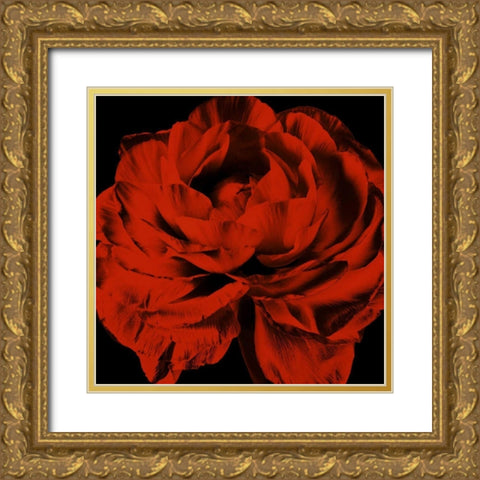 Red Ranunculus Gold Ornate Wood Framed Art Print with Double Matting by Zalewski, Christine