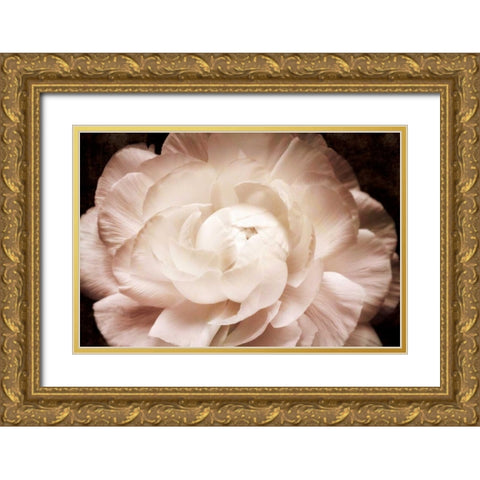 Elegant Ranunculus I Gold Ornate Wood Framed Art Print with Double Matting by Zalewski, Christine