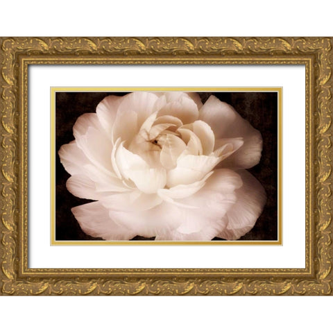 Elegant Ranunculus II Gold Ornate Wood Framed Art Print with Double Matting by Zalewski, Christine