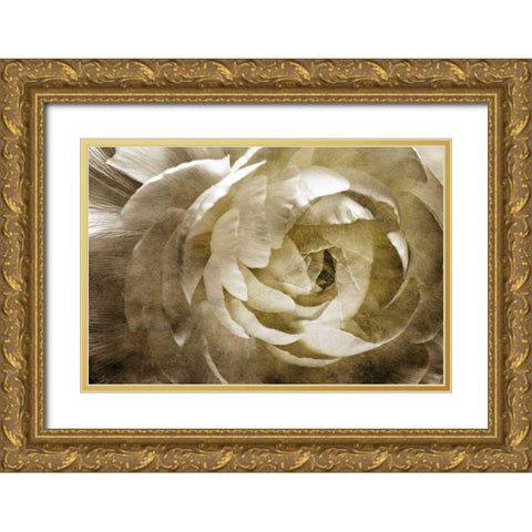 Elegant Peony III Gold Ornate Wood Framed Art Print with Double Matting by Zalewski, Christine