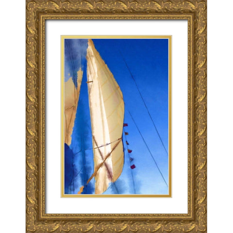 Sailing I Gold Ornate Wood Framed Art Print with Double Matting by Head, Danny