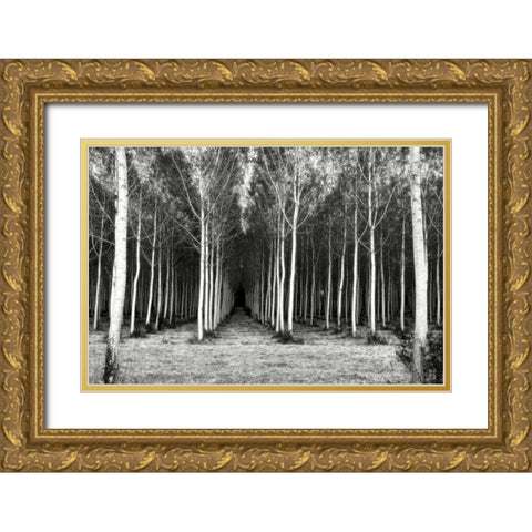 Alley At Lac Duby Gold Ornate Wood Framed Art Print with Double Matting by Chester, Colby