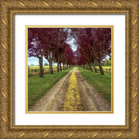 Approach Gold Ornate Wood Framed Art Print with Double Matting by Chester, Colby