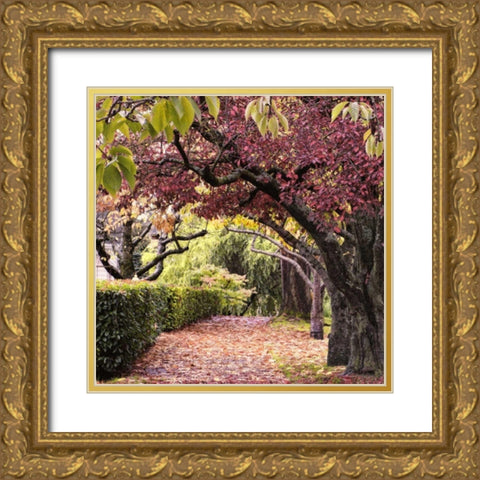 Arch of Trees Gold Ornate Wood Framed Art Print with Double Matting by Chester, Colby