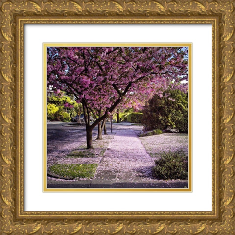 Fallen Petals Gold Ornate Wood Framed Art Print with Double Matting by Chester, Colby