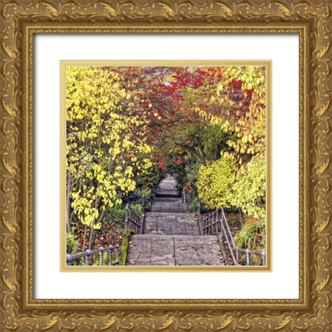 Autumn Tunnel Gold Ornate Wood Framed Art Print with Double Matting by Chester, Colby