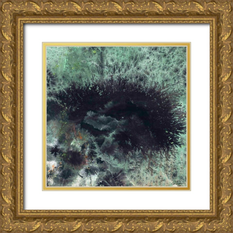 Coral and Jelly Fish I Gold Ornate Wood Framed Art Print with Double Matting by Roll, Dlynn
