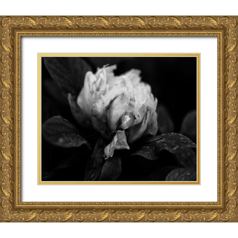 Poetry I Gold Ornate Wood Framed Art Print with Double Matting by Ling, Tang