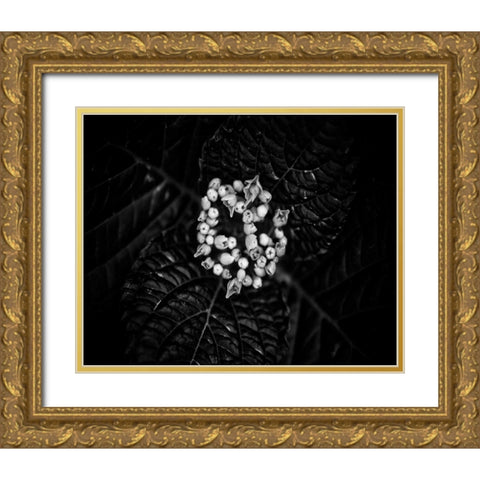 Poetry IV Gold Ornate Wood Framed Art Print with Double Matting by Ling, Tang