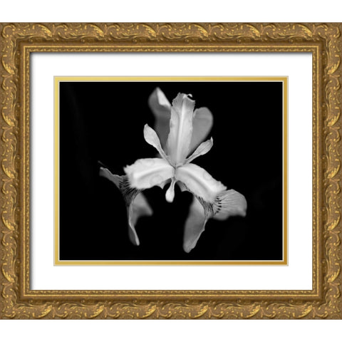 Poetry V Gold Ornate Wood Framed Art Print with Double Matting by Ling, Tang