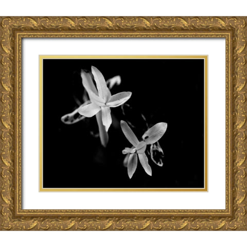 Poetry VI Gold Ornate Wood Framed Art Print with Double Matting by Ling, Tang