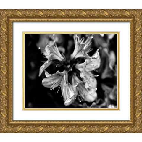 Poetry VII Gold Ornate Wood Framed Art Print with Double Matting by Ling, Tang