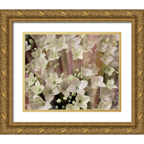 Soft Floral I Gold Ornate Wood Framed Art Print with Double Matting by Harrington, Danielle