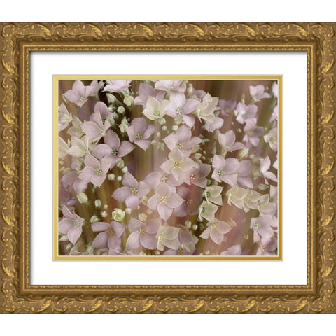 Soft Floral II Gold Ornate Wood Framed Art Print with Double Matting by Harrington, Danielle