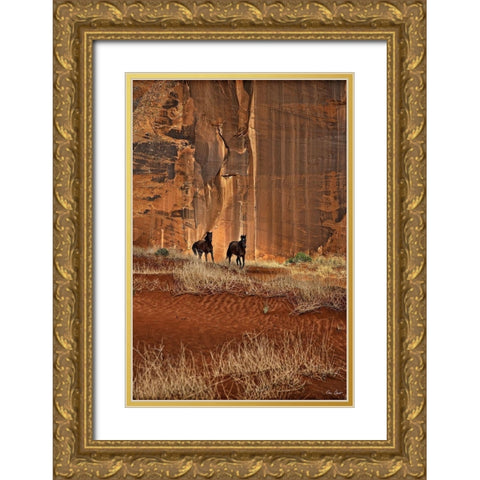 Custom Canyon Dewellers (ASH) Gold Ornate Wood Framed Art Print with Double Matting by Drost, David