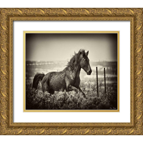 Running Horse Gold Ornate Wood Framed Art Print with Double Matting by Drost, David