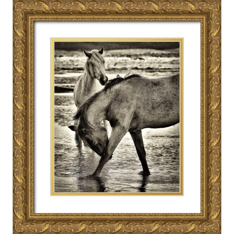Beach Horses I Gold Ornate Wood Framed Art Print with Double Matting by Drost, David