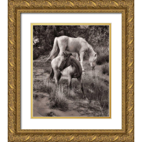 Beach Horses II Gold Ornate Wood Framed Art Print with Double Matting by Drost, David