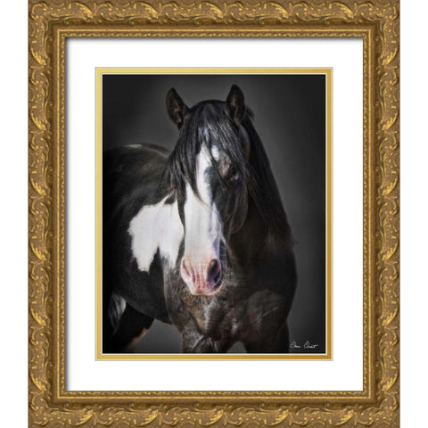 Horse Portrait II Gold Ornate Wood Framed Art Print with Double Matting by Drost, David