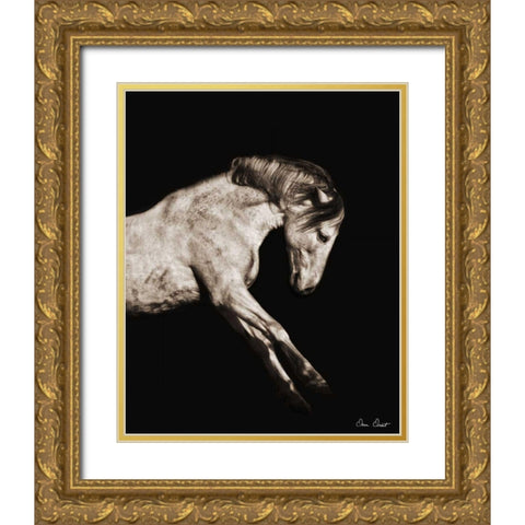 Horse Portrait IV Gold Ornate Wood Framed Art Print with Double Matting by Drost, David