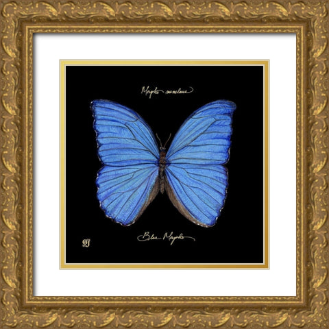 Striking Butterfly I Gold Ornate Wood Framed Art Print with Double Matting by Joyner, Ginny