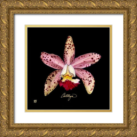 Vivid Orchid III Gold Ornate Wood Framed Art Print with Double Matting by Joyner, Ginny