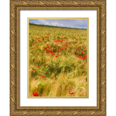 Poppies in Field I Gold Ornate Wood Framed Art Print with Double Matting by Chester, Colby