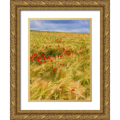 Poppies in Field II Gold Ornate Wood Framed Art Print with Double Matting by Chester, Colby
