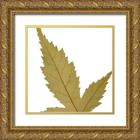 Leaf Inflorescence IV Gold Ornate Wood Framed Art Print with Double Matting by Project, A.