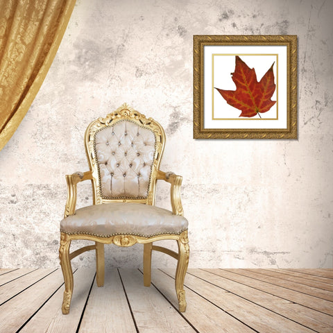 Leaf Inflorescence V Gold Ornate Wood Framed Art Print with Double Matting by Project, A.