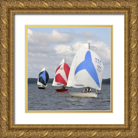 Water Racing I Gold Ornate Wood Framed Art Print with Double Matting by Project, A.