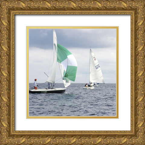 Water Racing II Gold Ornate Wood Framed Art Print with Double Matting by Project, A.