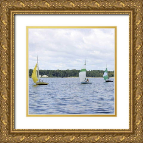 Water Racing III Gold Ornate Wood Framed Art Print with Double Matting by Project, A.