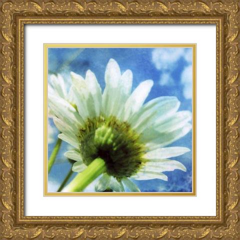 Daisies I Gold Ornate Wood Framed Art Print with Double Matting by Blixt, Ingrid