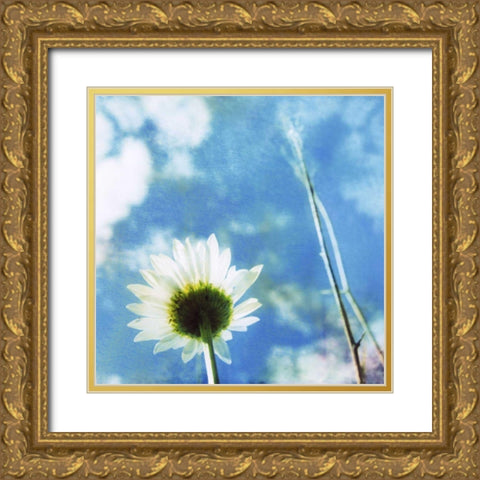 Daisies IV Gold Ornate Wood Framed Art Print with Double Matting by Blixt, Ingrid