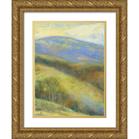 Mountain View III Gold Ornate Wood Framed Art Print with Double Matting by Thomas, H.