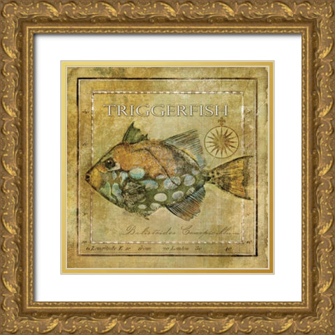 Ocean Fish XI Gold Ornate Wood Framed Art Print with Double Matting by Beth Anne Creative