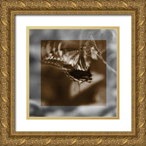 Butterfly Study I Gold Ornate Wood Framed Art Print with Double Matting by Project, A.