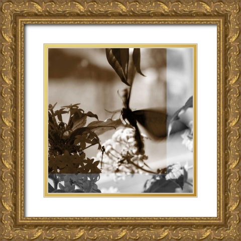 Butterfly Study V Gold Ornate Wood Framed Art Print with Double Matting by Project, A.