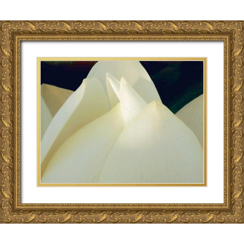 Lotus Detail III Gold Ornate Wood Framed Art Print with Double Matting by Christensen, Jim