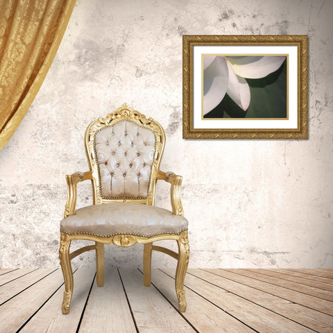 Lotus Detail IV Gold Ornate Wood Framed Art Print with Double Matting by Christensen, Jim