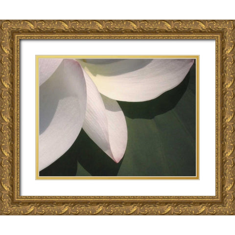 Lotus Detail IV Gold Ornate Wood Framed Art Print with Double Matting by Christensen, Jim