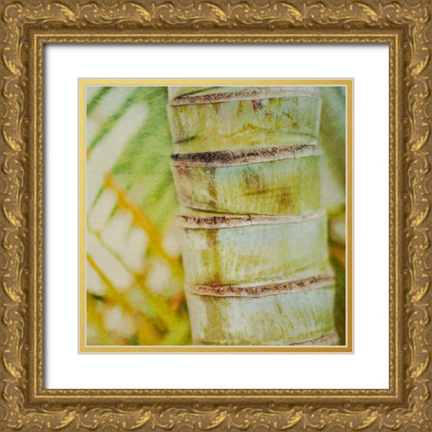 Tropical Texture II Gold Ornate Wood Framed Art Print with Double Matting by Robinson, Emily