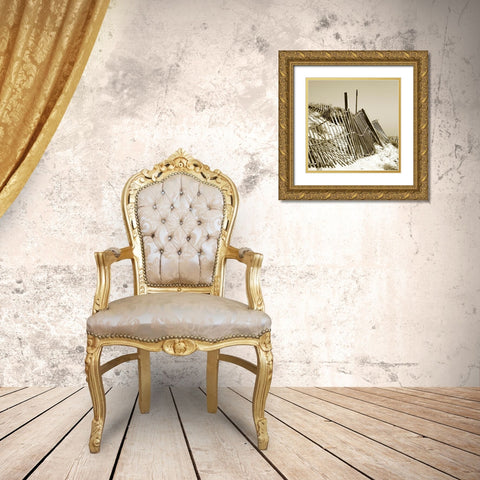 Fences in the Sand I Gold Ornate Wood Framed Art Print with Double Matting by Bay, Noah