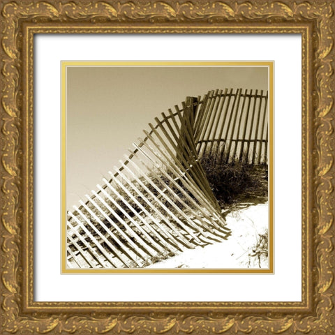 Fences in the Sand III Gold Ornate Wood Framed Art Print with Double Matting by Bay, Noah