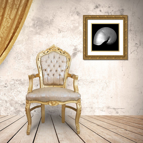 Nautilus Twin I Gold Ornate Wood Framed Art Print with Double Matting by Bay, Noah