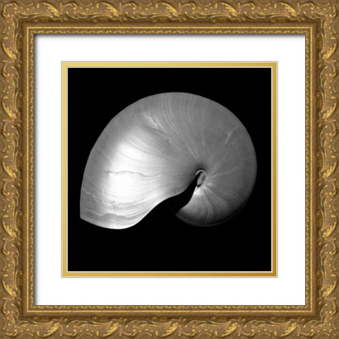 Nautilus Twin I Gold Ornate Wood Framed Art Print with Double Matting by Bay, Noah