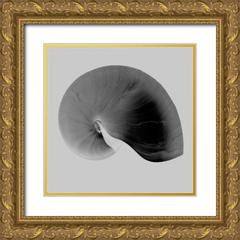 Nautilus Twin II Gold Ornate Wood Framed Art Print with Double Matting by Bay, Noah