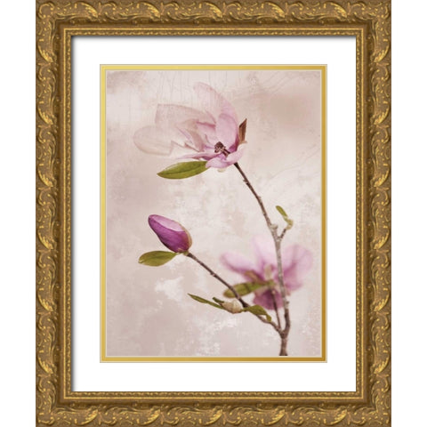 Tulip Blush I Gold Ornate Wood Framed Art Print with Double Matting by Zalewski, Christine